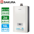 櫻花 DH-1693E 16L 強制排氣 FE式 熱水器 智能恆溫 渦輪增壓