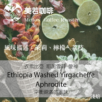 衣索比亞 咖啡豆 耶加雪菲 愛神 (30克、半磅)水洗處理法 淺焙。茉莉、檸檬、柑橘、荔枝【美若咖啡烘焙 】