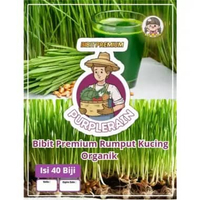 Bibit Premium Rumput Kucing Organik | Cat Grass Organic | Benih Rumput Kucing