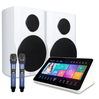 15.6 Touch Screen 6TB HDD Amplifier Karaoke Set with Wireless Mixer Microphone Professional KTV Karaoke Machine with Speaker