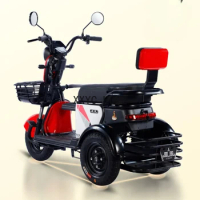 Mobile Tricycle Household Small Women's Electric Car Elderly Pick-up Children with Shed Elderly Battery Car