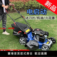 【台灣公司 超低價】隆鑫汽油草坪機割草機除草神器小型多功能四沖程手推自走式修剪機