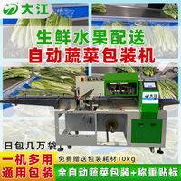 【台灣公司 可打統編】大江生鮮蔬菜包裝機 自動600間歇式生鮮油麥菜玉米保鮮包裝機械