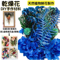 【A-ONE】天然乾燥花盒 水藍色 乾燥花 永生花 不凋花 DIY花材B04 矢車菊藍