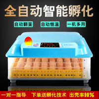 《廠家直銷》小型孵化機全自動家用型孵化器雞蛋孵化設備孵化箱