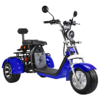 Holland warehouse door to delivery 3 wheel three wheeler 2000w passenger electric tricycle scooter for adults