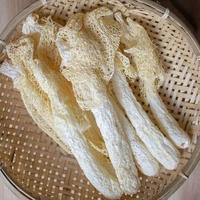 內地直送 - 新鲜竹笙干 乾货古田农家不薰硫长裙竹笙使用菌菇煲汤非特级野生 50g