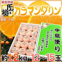 【天天果園】日本頂級中島便溫室蜜柑原裝1kg禮盒/約12-15入