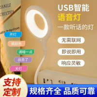 New Voice Light USB Artificial Intelligence Voice Control Light Voice Mini Portable Atmosphere Decor