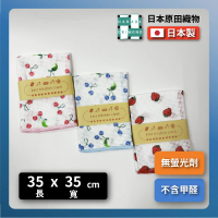 日本原田織物｜35×35cm純棉洗碗布｜三入組(不含甲醛)