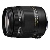 【Sigma】18-250mm/3.5-6.3 DC MACRO OS HSM(公司貨)