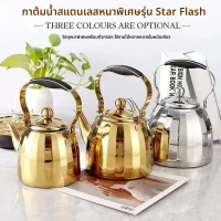 Thick Stainless Steel Kettle with Filter Flash Star Model for Restaurants Home Hotels Tea Brewing