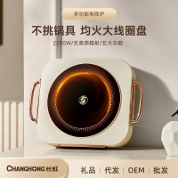 Changhong/長虹電陶爐家用小型迷你電茶爐圍爐煮茶廠家批發電磁爐301