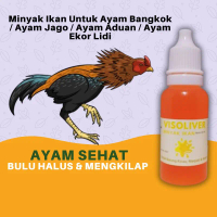 Visoliver Minyak Ikan Untuk Ayam Bangkok Aduan Buat Jago Ekor Lidi Mengandung Omega3 Dan Vitamin