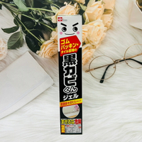 日本 LEC 激落君 黑霉君 浴室除霉凝膠 100g 去霉凝膠 除黴凝膠｜全店$199免運