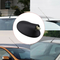 Car AM/FM Radio Antenna Aerial Roof Mount Base Fit Ford Focus Mondeo KA Fiesta For Ford Focus 1999-2007
