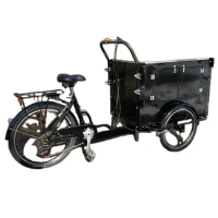 OEM Cargo Bike 3 Wheel Electric Tricycle For Freight Reverse Speed Mobile Bicycle Professional Customization custom