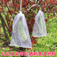 防鳥網 套葡萄水果套枇杷防蟲防鳥白色紗網套袋透氣透光防果蠅套樹苗防蟲 限時88折
