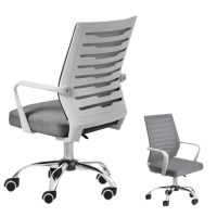 【Ashley House】S型美姿護脊結構設計工學電腦椅(會議椅 升降椅 電競椅 旋轉椅 兒童椅)