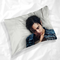 Sarung Bantal Halu Lukisan Wajah DPR Ian Christian Yu Yu Ba Rom Rome