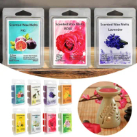 Fall Scented Wax Melts Autumn Wax Cubes Strong Scented 8x2.5oz Natural Soy Wax Melts Variety Gift Set For Warmer Pumpkin