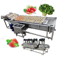 Commercial Air Bubble Tomato Avocado Apple Peanut Washing Drying Machine Ozone Fruit And Vegetable Washer