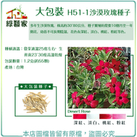 【綠藝家】大包裝H51-1.沙漠玫瑰種子1.2克(約55顆)