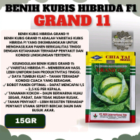 Benih Bibit Kol Kubis Hijau Grand 11 F1 100gram Biji Cap Kapal Terbang