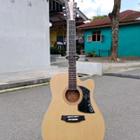 Cole Clark Custom Natural