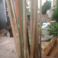 bilah bambu 100cm untuk ajir Tanaman cantik istimewa (RA&TH)