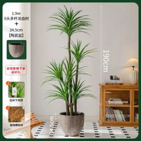 掬涵北歐輕奢模擬綠植龍血樹大型落地盆栽高階假植物客廳裝飾擺件