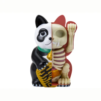 4D Fortune Cat Panda Half Anatomy PVC Statue Collection Model Home Bedroom Decoration Figurines Kid Gifts