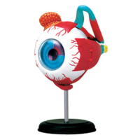 4d Master Human Eyeball Anatomy Model puzzle Assembling Toy Medical Teaching Aid Laboratory Education Equipment
