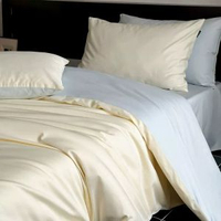 北歐高階感貢緞長絨棉全棉床上四件套a類純棉被套床笠裸睡1.8