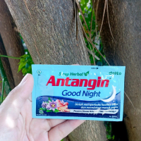ANTANGIN GOOD NIGHT SYRUP DUS ISI 5 SACHET