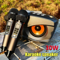 SD306Plus 30W High-power Portable Family Party Bluetooth Karaoke Machine Wireless Speakers With 2X Mic Home KTV TF Card/USB Play