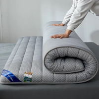 Bedroom Dormitory Household Mattress Tatami Cushion Mattress Student New Latex Embossed Embossed Fabric