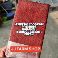 Cacing beku fresh lempeng bloodworm cacing seger kering (gojek / grab)