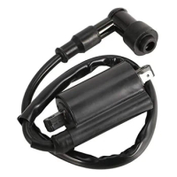 Motorcycle Ignition Coil Ignitor For 250cc 300cc 400cc MAJESTY Linhai 250 300 400 LH250 YP250 ATV300