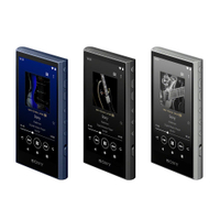 SONY NW-A306 Walkman數位音樂播放器