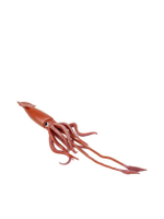 GIANT SQUID