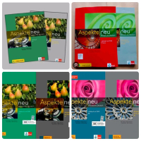 Buku Paket Bahasa Jerman Aspekte Neu Mittelstufe Deutsch B1 B2 C1 6 Buku Full Colour Lehrbuch & Arbe
