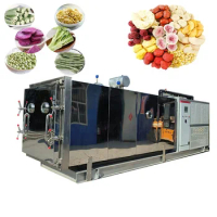 Commercial Vacuum Dryer for Fruit and Vegetable Food Freeze Dryer Freeze Dry Machine flower meat Vacuum Freeze Drying Machine