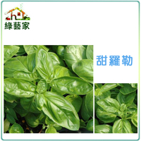 【綠藝家】K12.甜羅勒種子0.2克(約130顆)