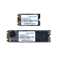 Goldendisk 1TB SSD M.2 Internal SATA Disk Drive SSD NGFF 3D NAND TLC Flash SATA III 6Gb/s M.2 2242 2260 2280