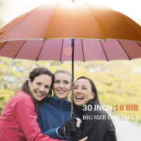 【BGG Umbrella】 超抗風超大尺寸自動直傘 | 30吋16骨超大尺寸 蓮花骨傘架設計超抗風