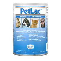 【PetAg 貝克】美國百年奶粉研發 -貝克寵物通用奶粉300g(寵物保健/蜜袋鼯/犬貓鼠兔/小動物奶粉/寵物奶粉)