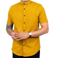 Hem pria polos kemeja lengan pendek kunyit hijau merah biru abu Katun Santai Slim-fitting