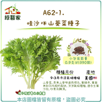 【綠藝家】A62-1.哇沙咪山葵菜種子0.9克(約390顆)