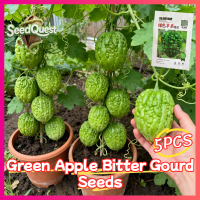 100% Original 5pcs High Yield Round Green Bitter Gourd Seeds for Planting Vegetables Plants - Fresh